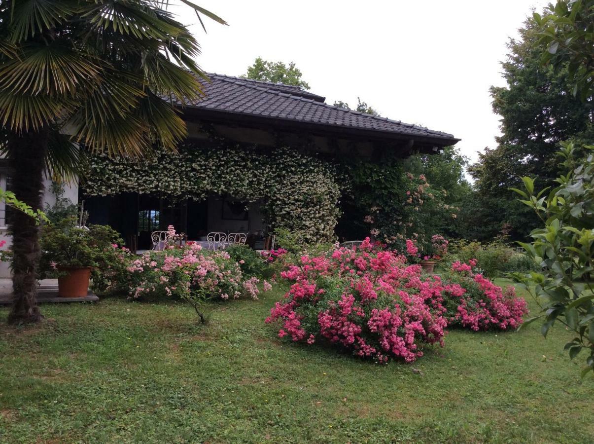 Bed and Breakfast Le Querce Tricesimo Zewnętrze zdjęcie